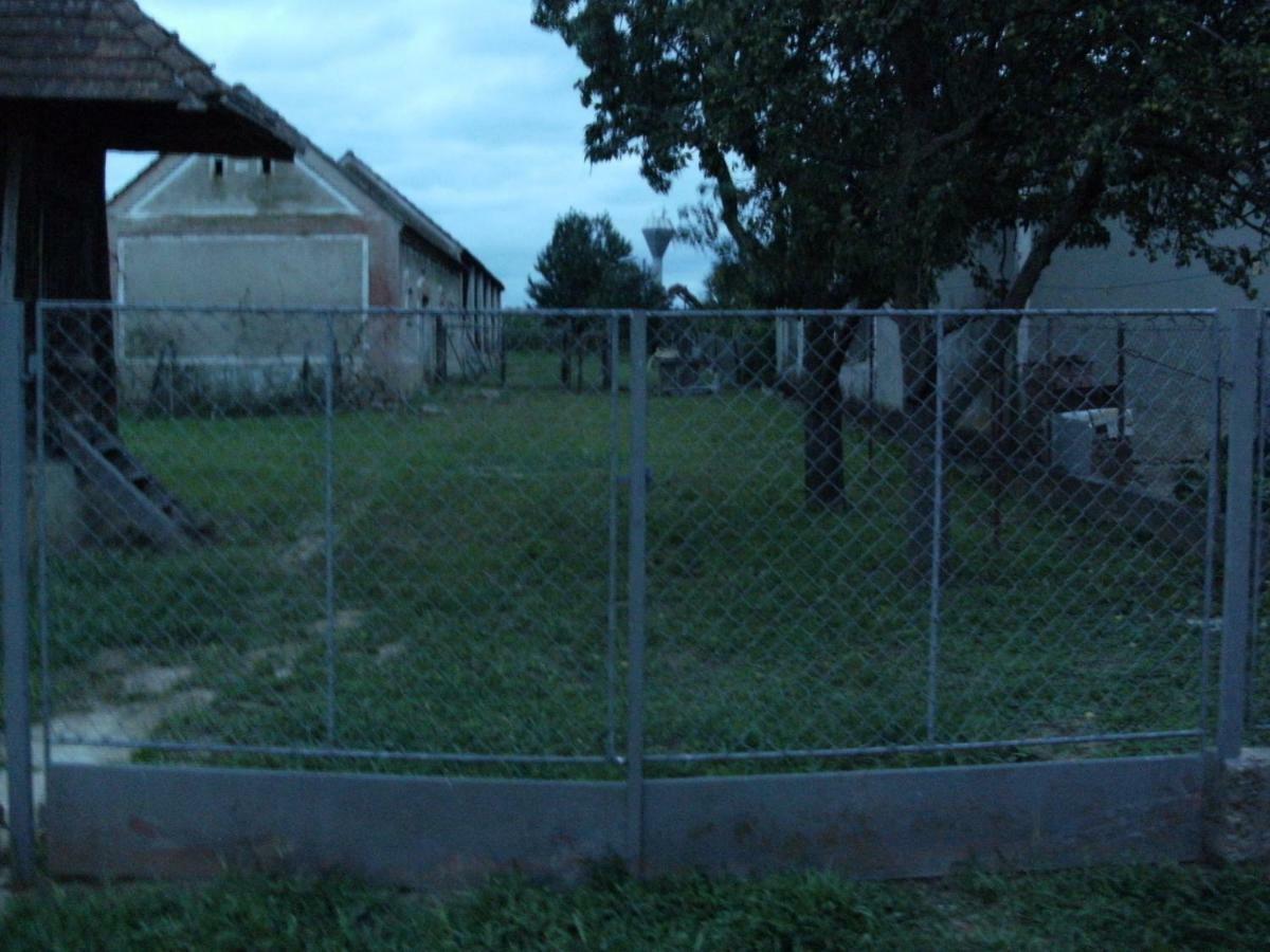 98 Petofi Utca Villa Balatonmagyarod Eksteriør bilde